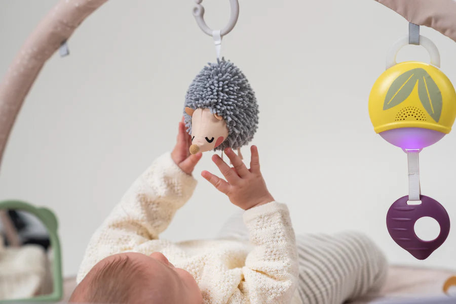 Gimnasio para Bebé Tummy Time TAF TOYS - Pingaló Store
