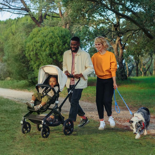 Bugaboo Fox 3 complete - Pingaló Store